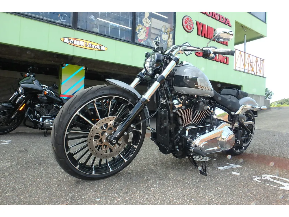 Harley-Davidson FXBR 2024, серый, фото 16