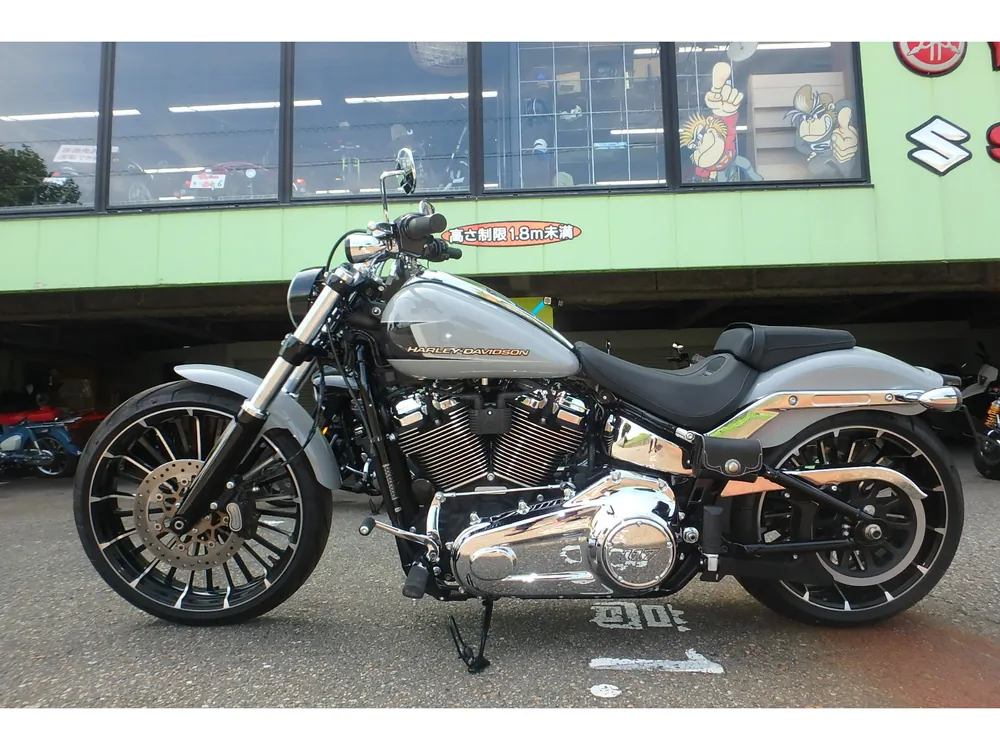 Harley-Davidson FXBR 2024, серый, фото 17