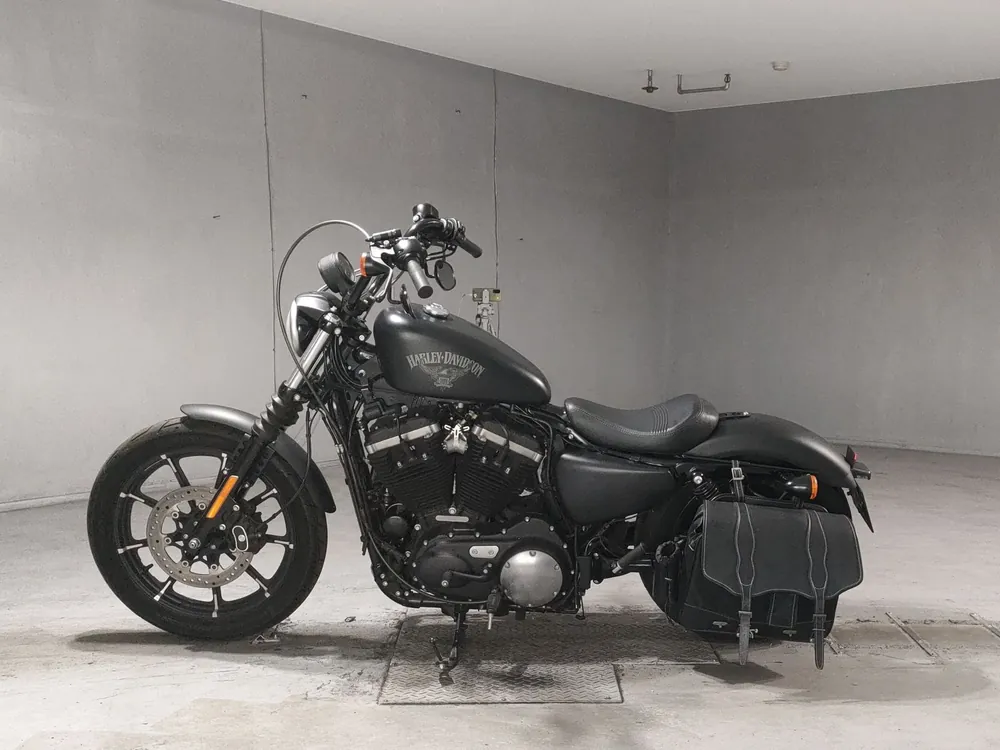 Harley-Davidson XL883N 2017, чёрный, фото 2