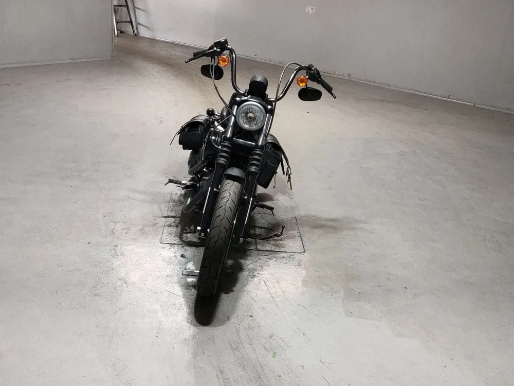 Harley-Davidson XL883N 2017, чёрный, фото 3