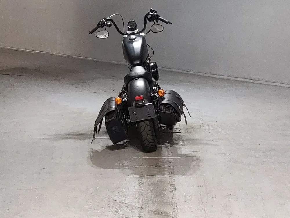 Harley-Davidson XL883N 2017, чёрный, фото 4