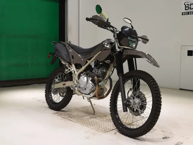 Kawasaki KLX230 Sherpa, серый, фото 3