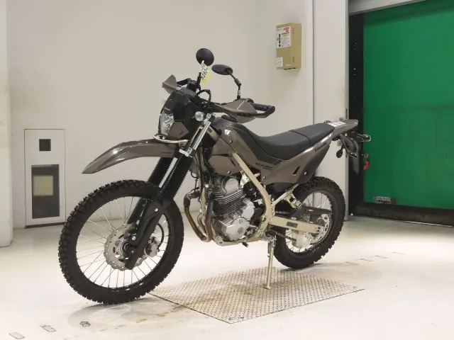 Kawasaki KLX230 Sherpa, серый, фото 4