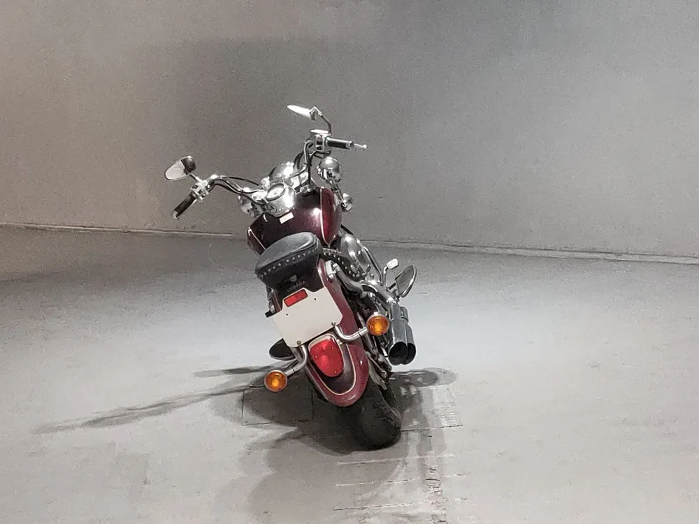 Yamaha Drag Star 1998, red / light brown, фото 4