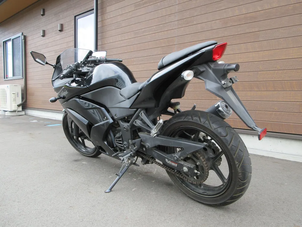 Kawasaki Ninja 250SL из Японии, фото 9