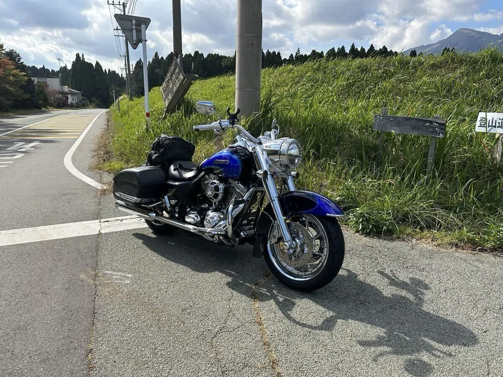 Harley-Davidson Road King 2008, фото 8