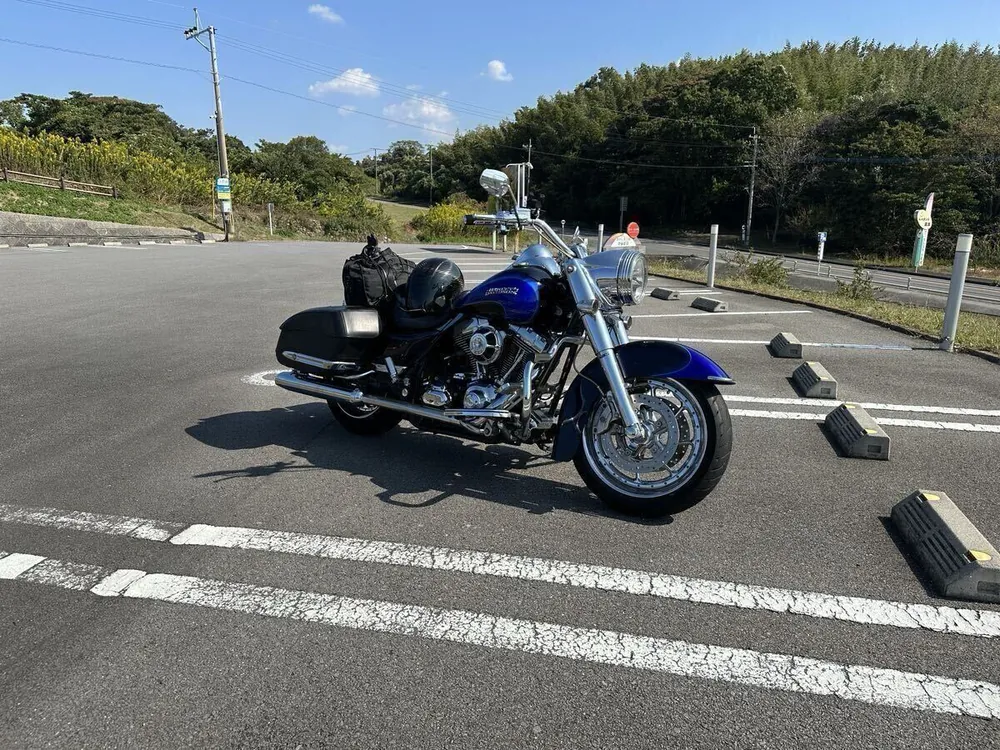Harley-Davidson Road King 2008, фото 9