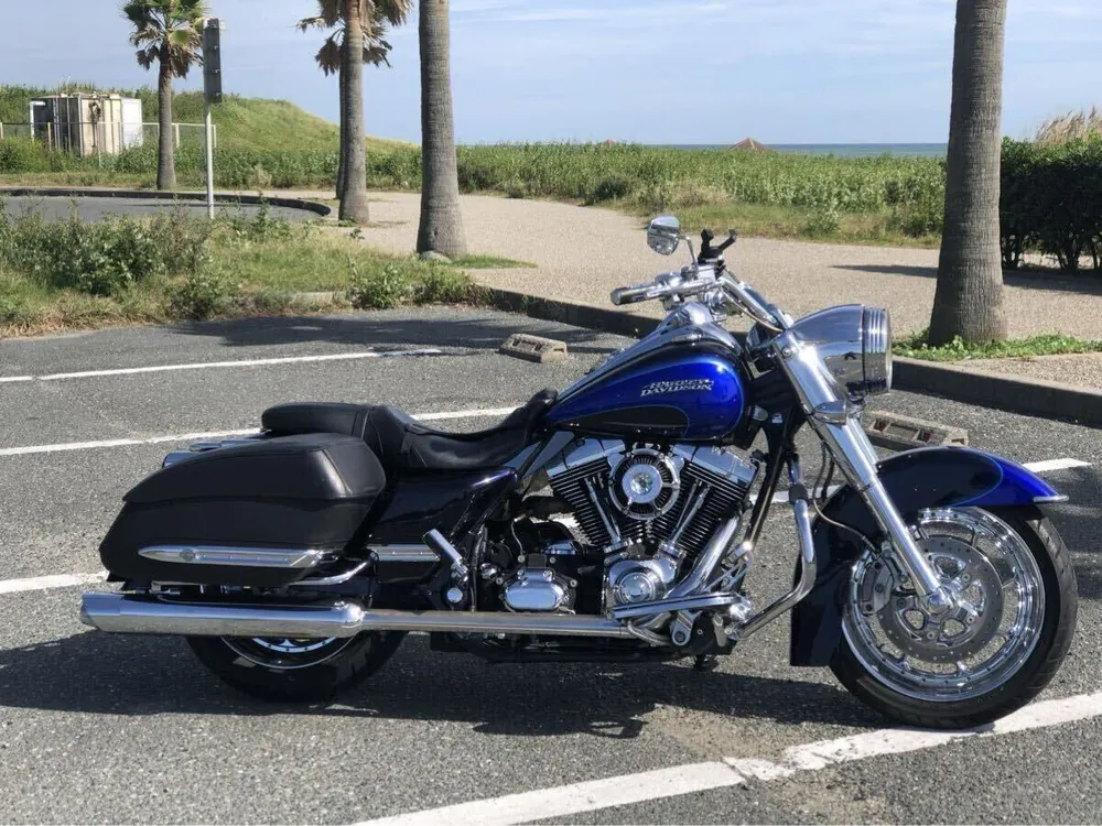Harley-Davidson Road King 2008, фото 3