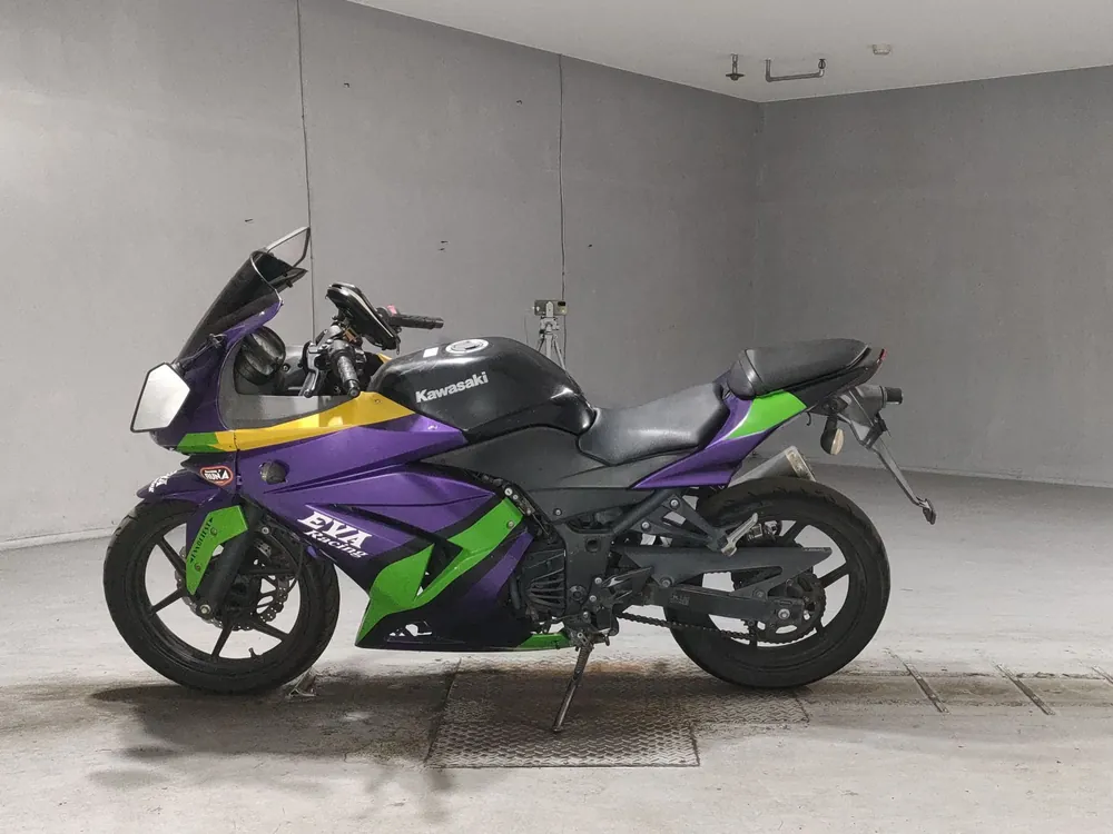 Kawasaki Ninja 250SL, black / purple, фото 2