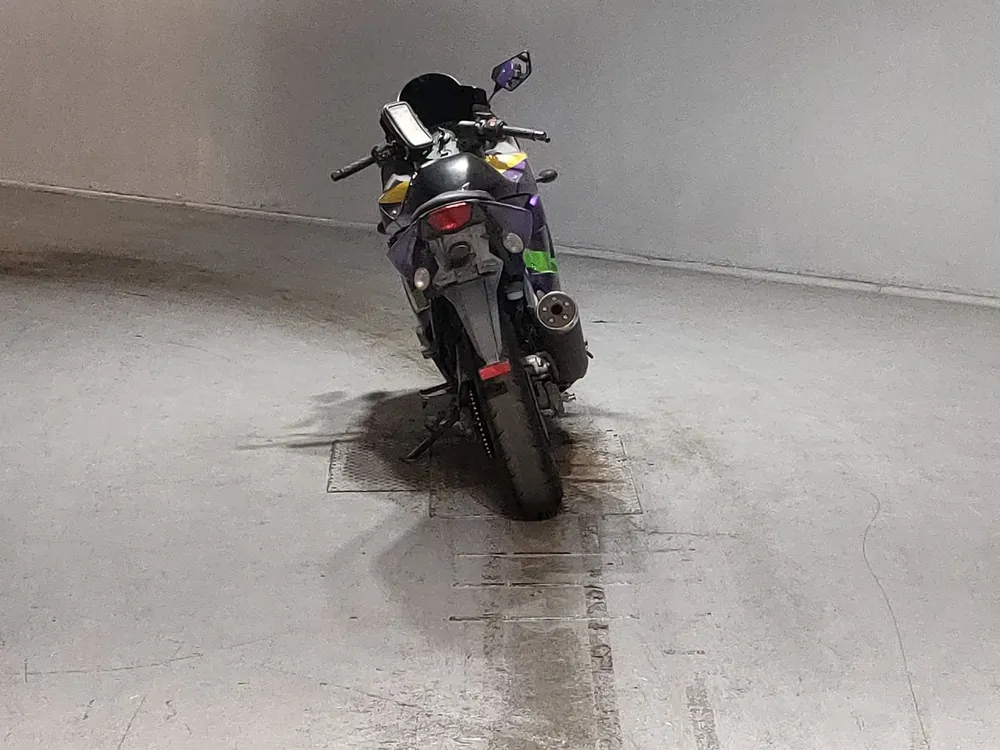 Kawasaki Ninja 250SL, black / purple, фото 4