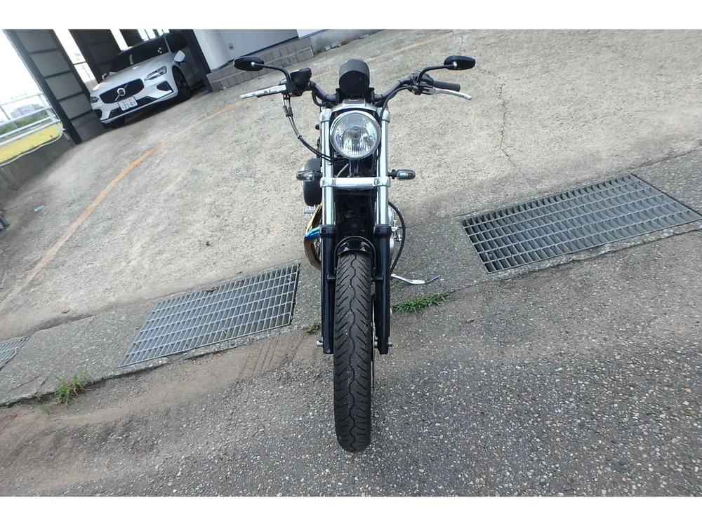 Harley-Davidson XLH883 2004, чёрный, фото 2