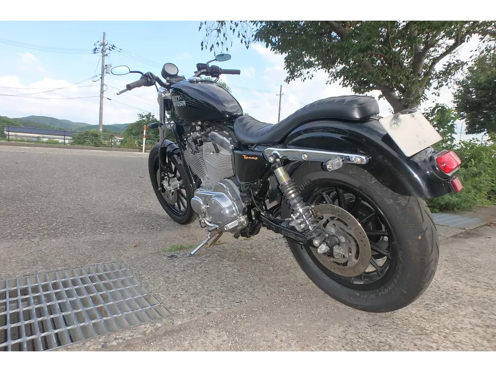 Harley-Davidson XLH883 2004, чёрный, фото 12