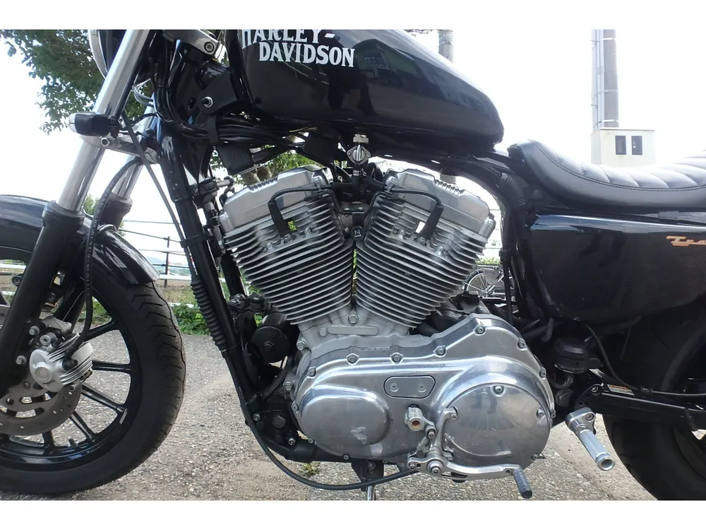 Harley-Davidson XLH883 2004, чёрный, фото 14