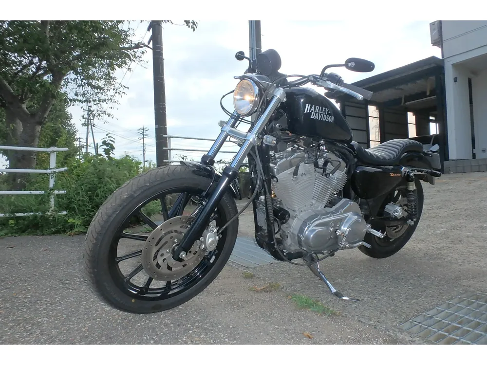 Harley-Davidson XLH883 2004, чёрный, фото 16