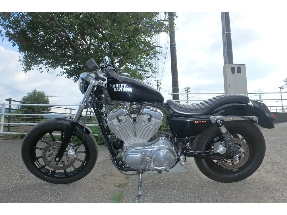 Harley-Davidson XLH883 2004, чёрный, фото 17