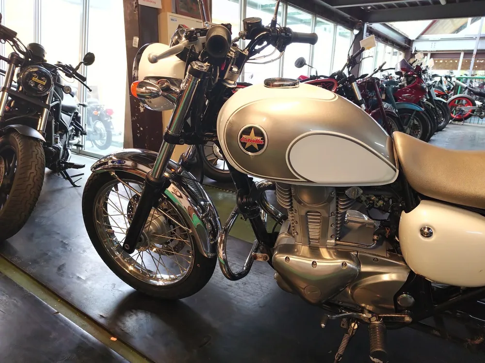 Kawasaki Estrella, p white, фото 7