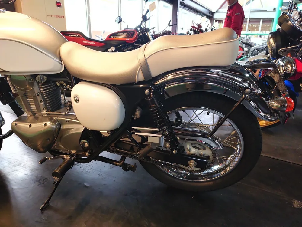 Kawasaki Estrella, p white, фото 8