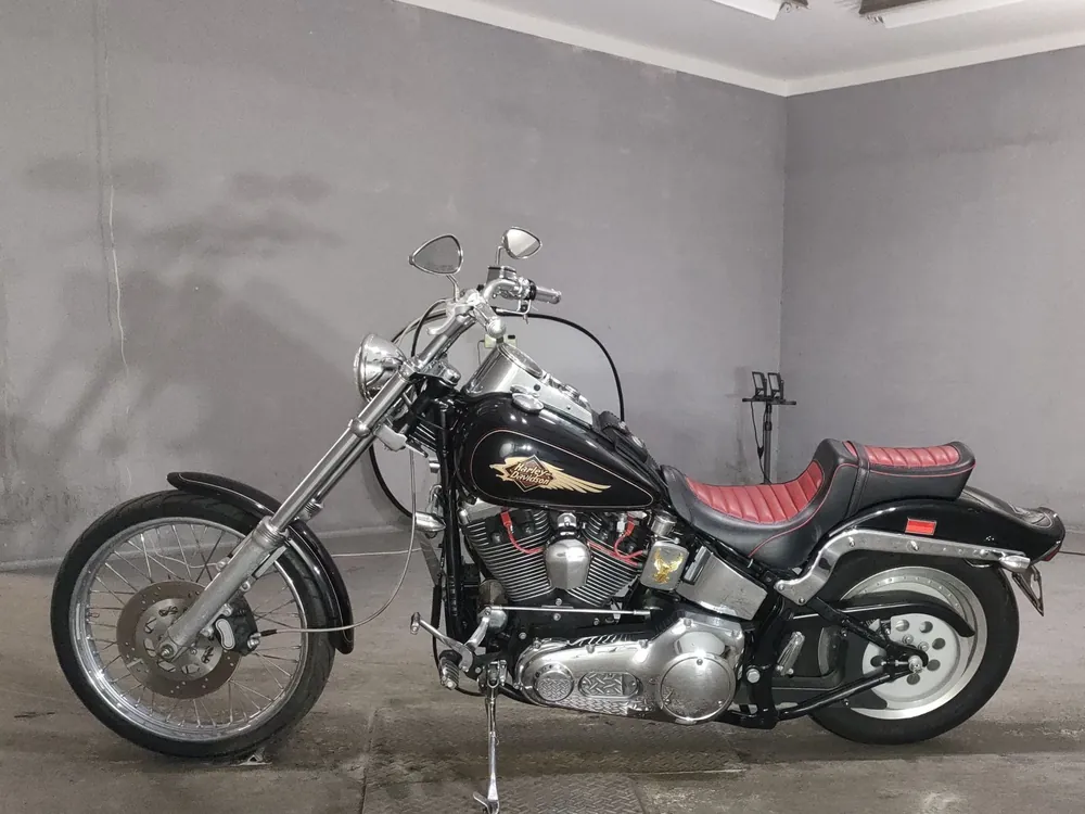 Harley-Davidson FXSTC 2009, чёрный, фото 2