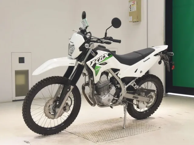 Kawasaki KLX230 Sherpa, белый, фото 4