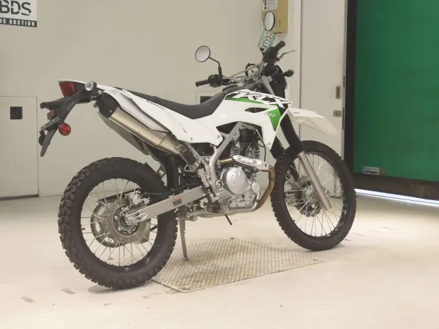 Kawasaki KLX230 Sherpa, белый, фото 5