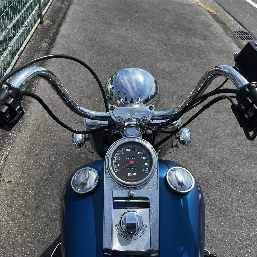 Harley-Davidson FLSTC 1990, фото 2
