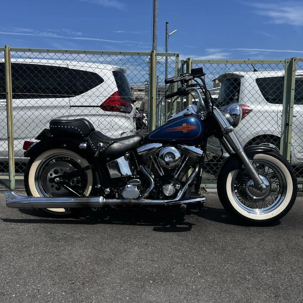 Harley-Davidson FLSTC 1990, фото 3
