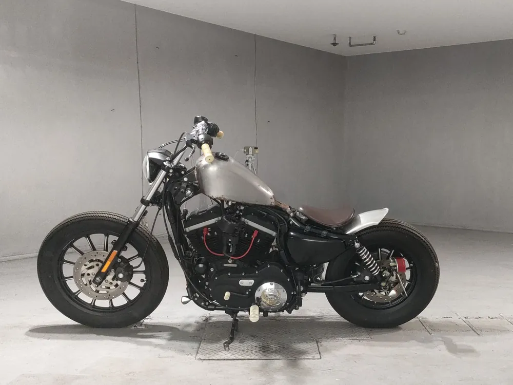 Harley-Davidson XL883N 2013, серый, фото 2