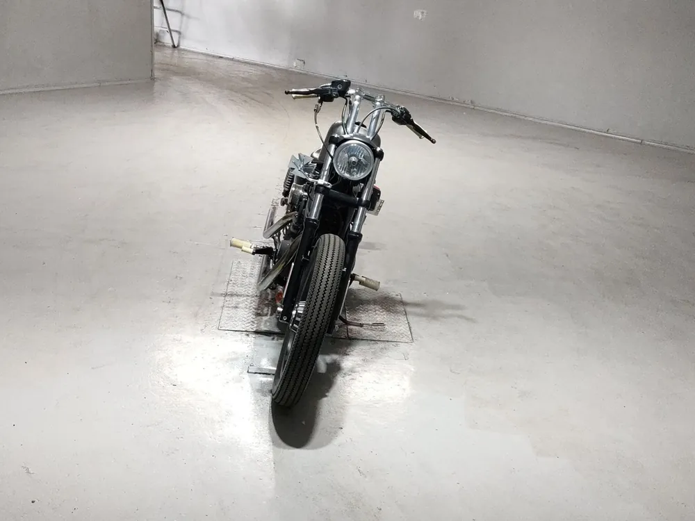 Harley-Davidson XL883N 2013, серый, фото 3