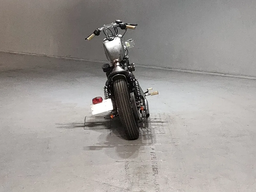 Harley-Davidson XL883N 2013, серый, фото 4