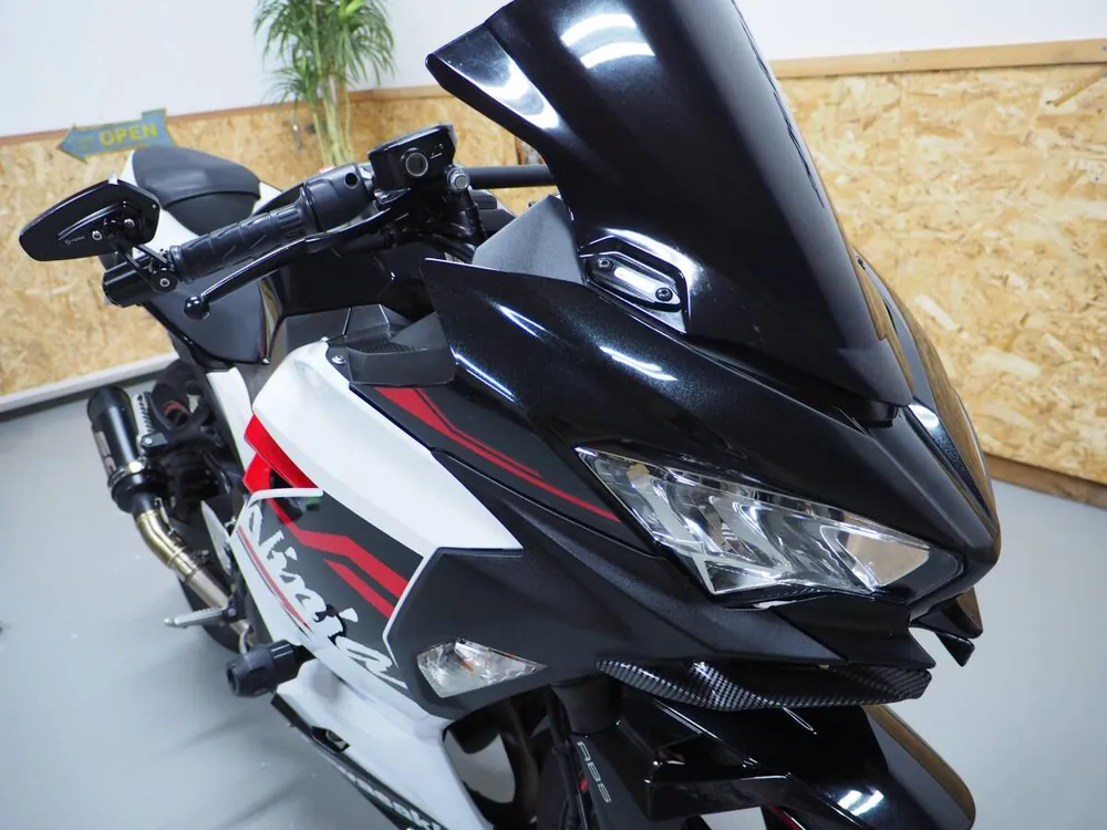 Kawasaki Ninja 250 2020, фото 8