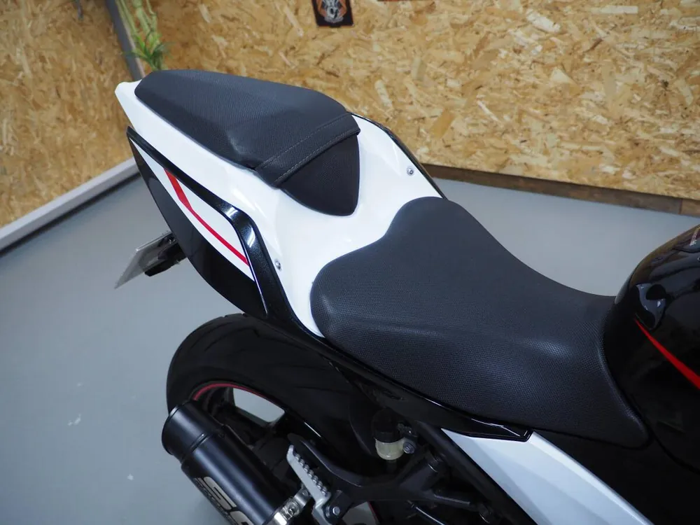 Kawasaki Ninja 250 2020, фото 10