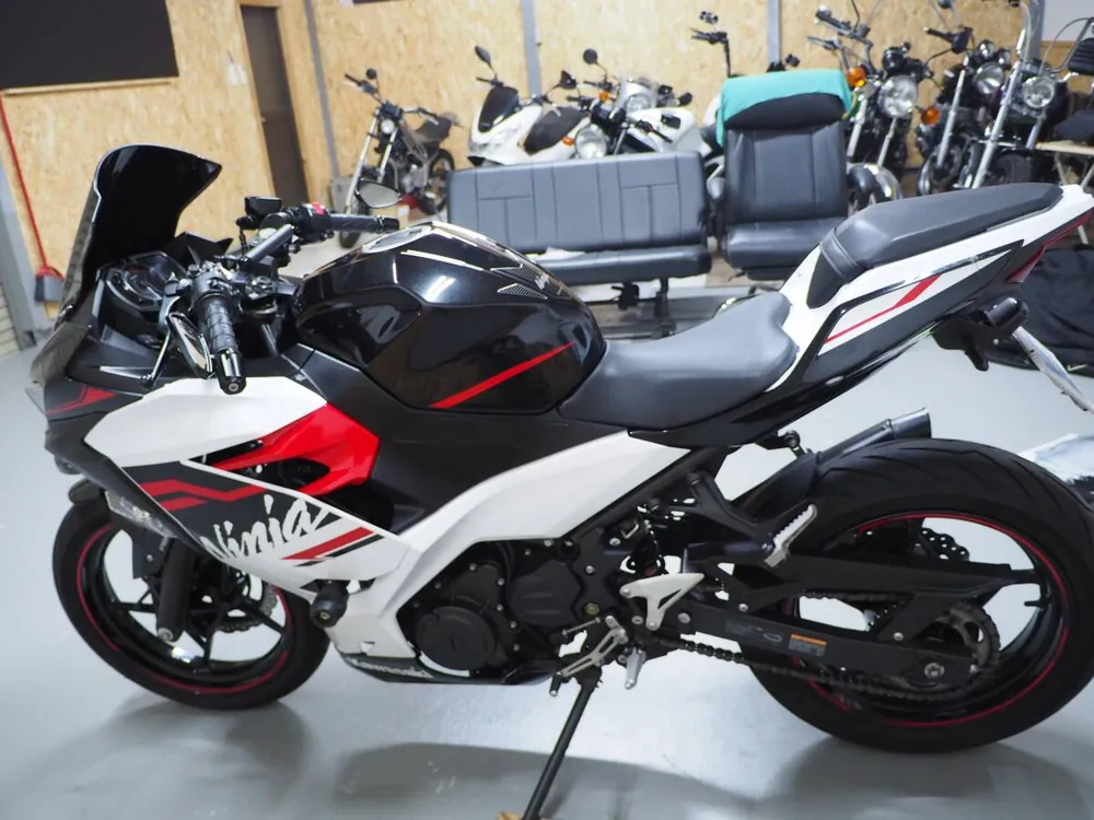 Kawasaki Ninja 250 2020, фото 3