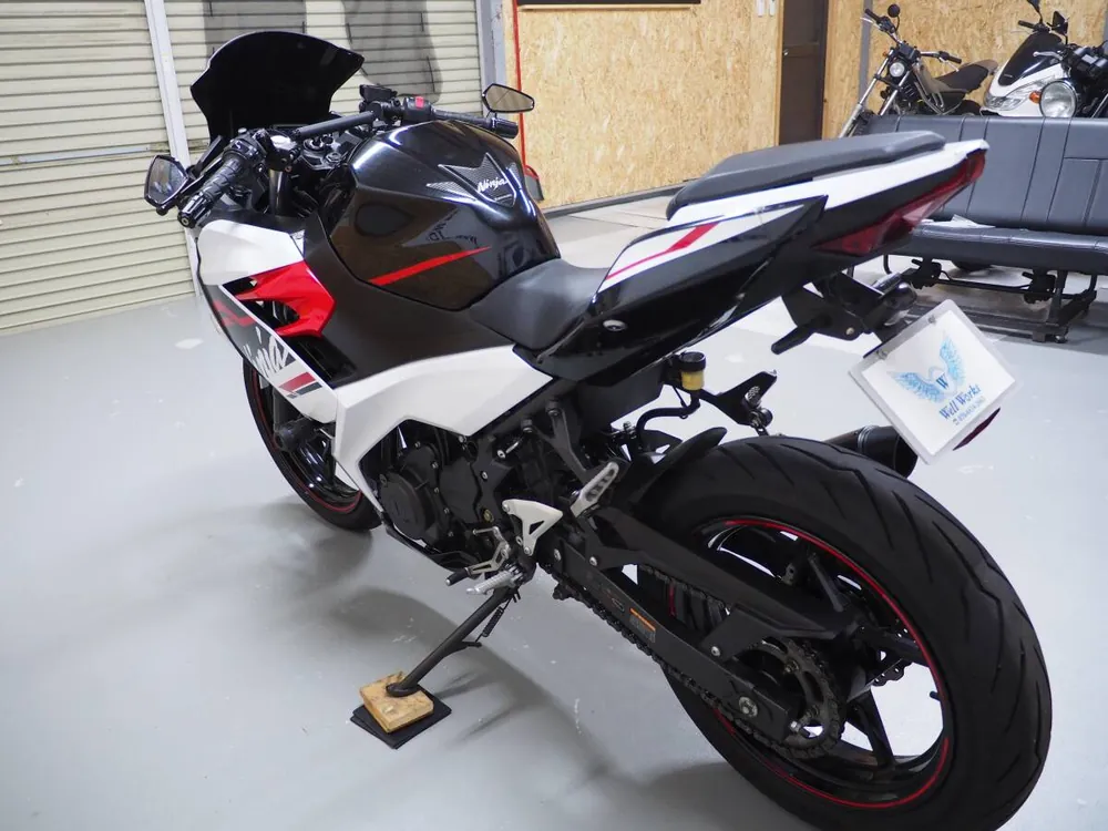 Kawasaki Ninja 250 2020, фото 6