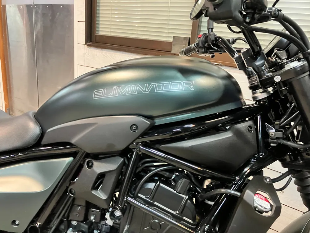 Kawasaki Eliminator 400SE 2024, black/green, фото 16