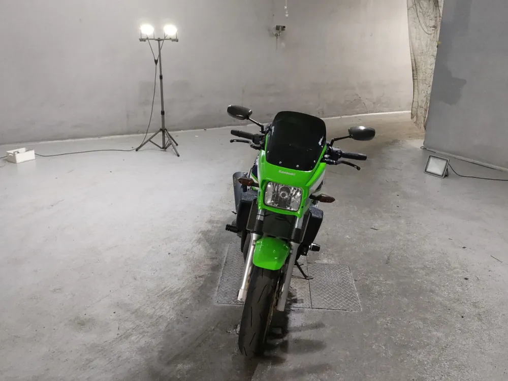 Kawasaki ZRX1200DAEG 2011, зелёный, фото 3