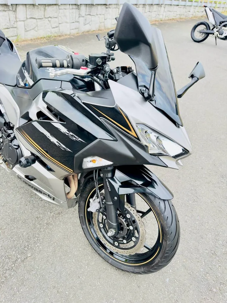 Kawasaki Ninja 250-2 2019, фото 2