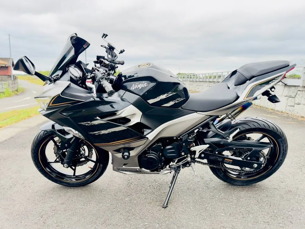 Kawasaki Ninja 250-2 2019, фото 3