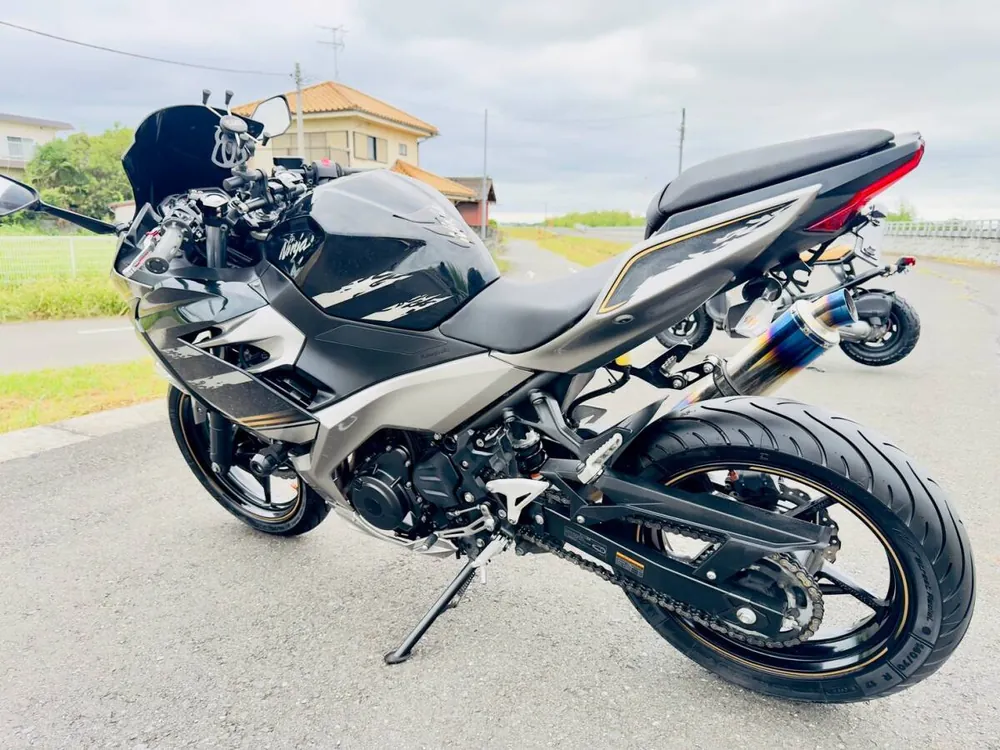 Kawasaki Ninja 250-2 2019, фото 4