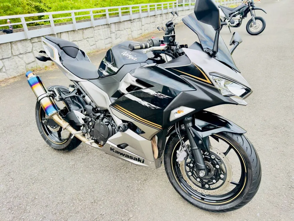 Kawasaki Ninja 250-2 2019, фото 5