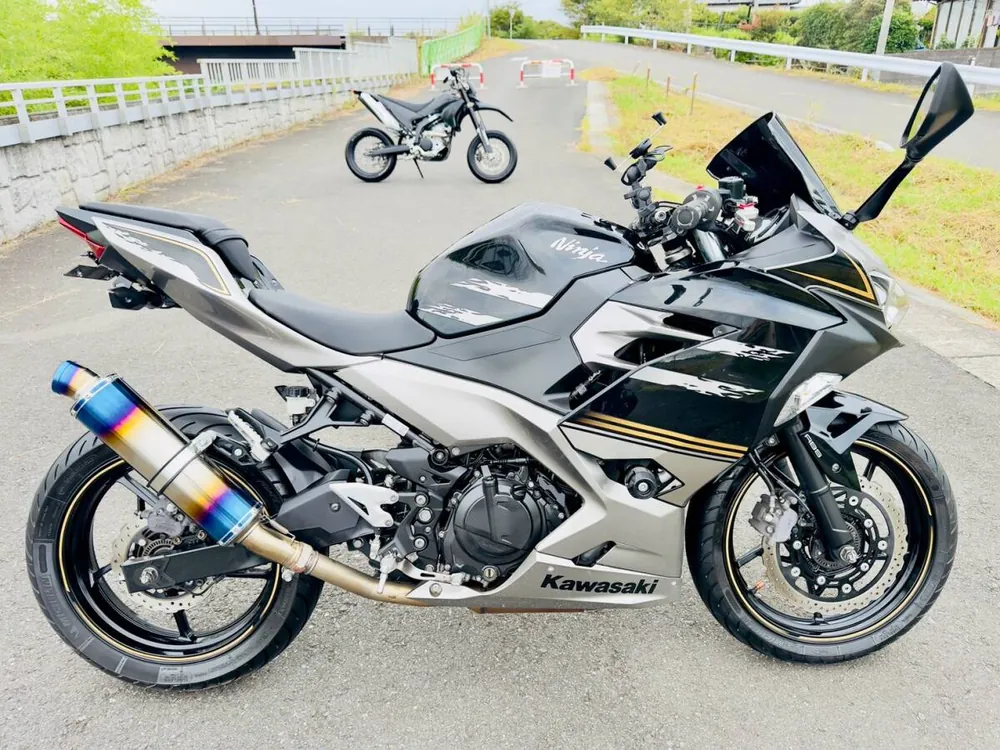 Kawasaki Ninja 250-2 2019, фото 6