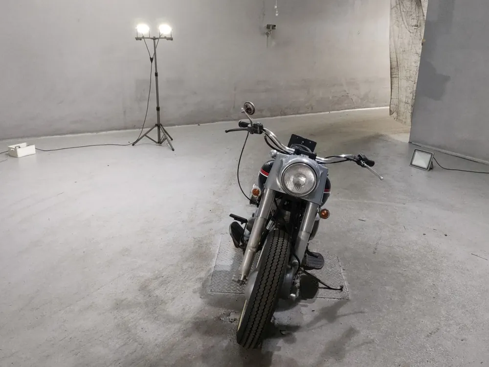 Harley-Davidson FLH1200 2010, чёрный, фото 3