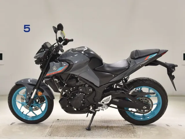 Yamaha YZF-R25, серый, фото 2