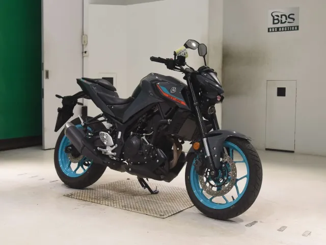 Yamaha YZF-R25, серый, фото 3
