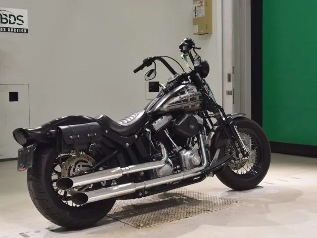 Harley-Davidson FLSTSB1580 2011, matt black, фото 5