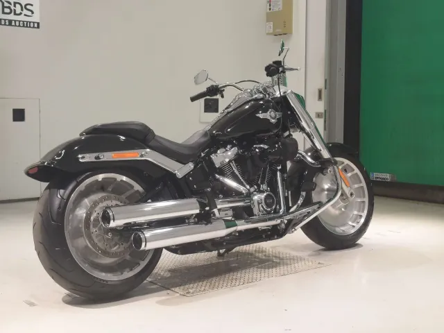 Harley-Davidson FLFBS1870 2021, чёрный, фото 5