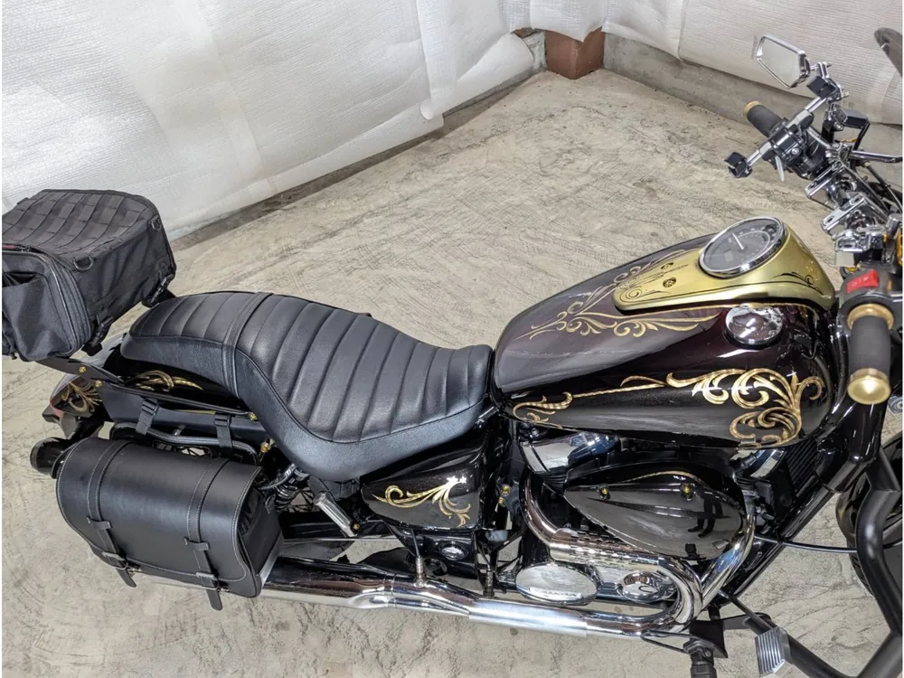 Honda Shadow 750 2011, custom p, фото 10