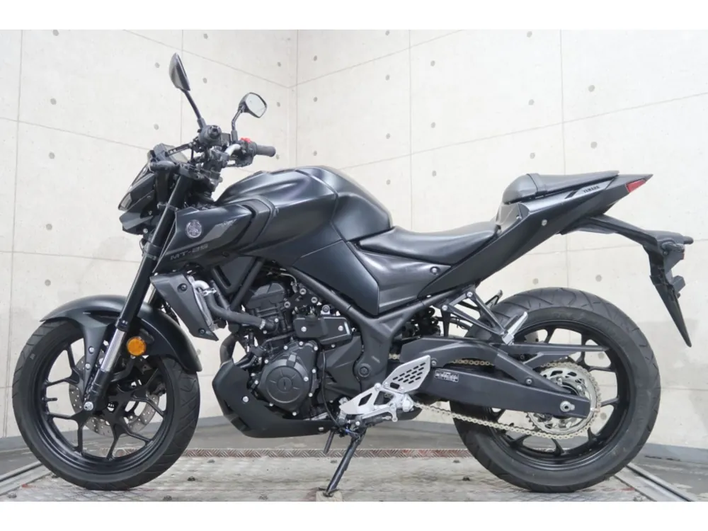 Yamaha YZF-R25, maddo black, фото 2