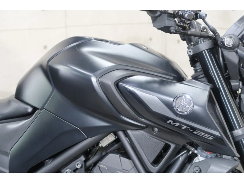 Yamaha YZF-R25, maddo black, фото 11