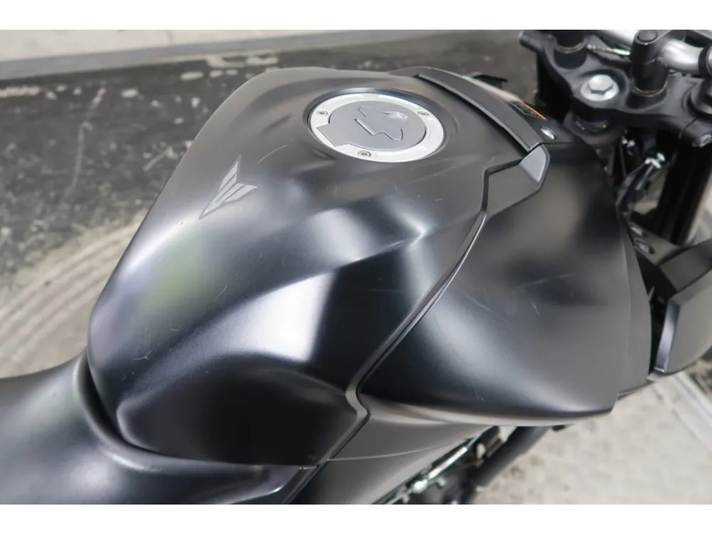 Yamaha YZF-R25, maddo black, фото 12