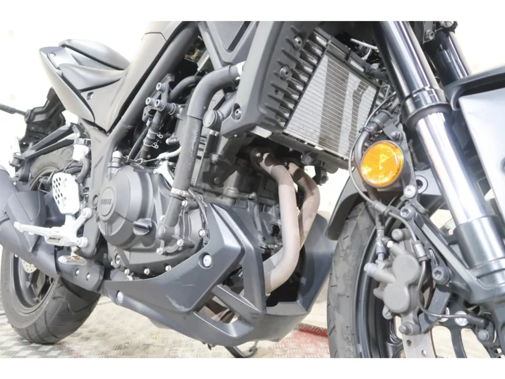 Yamaha YZF-R25, maddo black, фото 15
